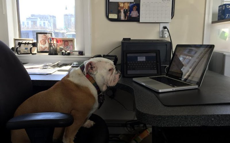 City Motor Group Inc. BostonCarBuyers