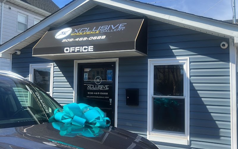 Xclusive Wholesale Gallery