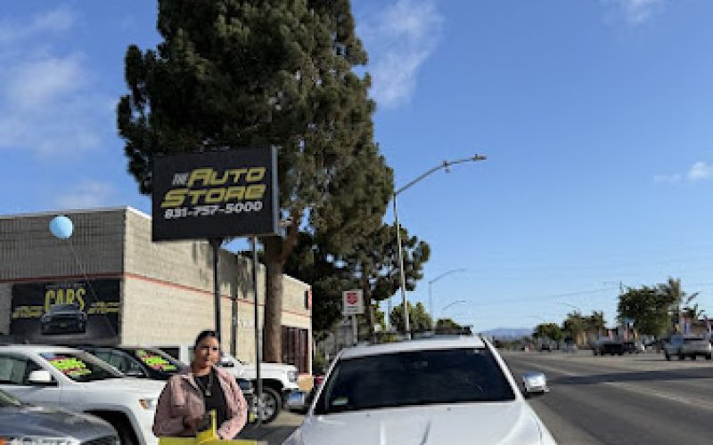 THE AUTO STORE